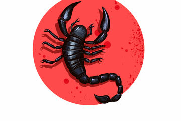 Monatshoroskop Skorpion: Dein Horoskop für März 2023