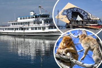 Sehnsucht nach Seeluft? Das sind die Highlights für Euren nächsten Bodensee-Trip