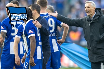 Hertha und die gelbe Gefahr: Bricht die halbe Stammelf weg?