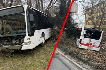 Linienbus mit 21 Fahrgästen rollt plötzlich ohne Fahrer los