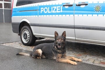 Chemnitz: Selbst Hunde spüren ihn nicht auf: Mann überfällt Tankstelle und macht sich aus dem Staub