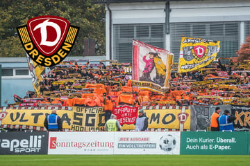 Dynamo Ultras distances itself from Bayreuth escalation: 