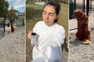 Dog looks dejected at the park – why won't any other pups play with him?