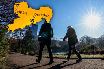 Vorgeschmack auf den Frühling: Wochenende in Sachsen wird heiter und mild
