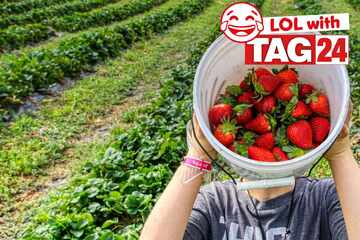 Joke of the Night for March 26, 2026: A fruity funny