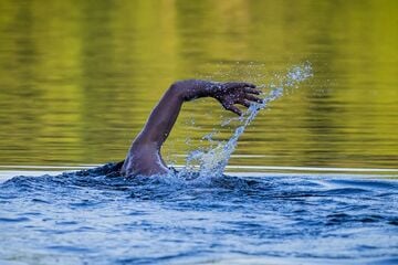 Berlin: Sommer in Berlin: Alle Badestellen aktuell zum Baden geeignet