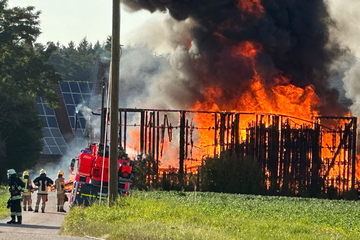 Flammeninferno ruft Feuerwehr auf Plan: Retter im Großeinsatz!