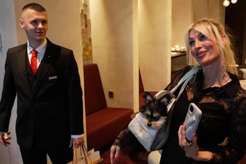 Influencerin bucht 500-Euro-VIP-Lounge am BER nur für ihren Hund: "Wir sind richtig wichtig"
