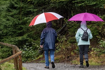 Regen und Schnee: Ungewöhnlich viel Niederschlag in Bayern