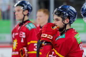 Düsseldorfer EG von Hass getroffen: "Wir müssten euch Penner durch die Stadt jagen"