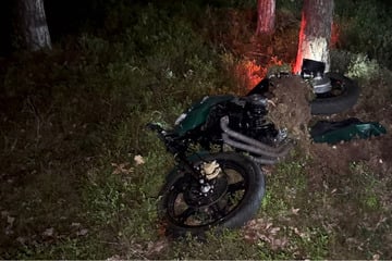 Tödliches Ende einer Motorradtour: 29-Jähriger prallt gegen Baum