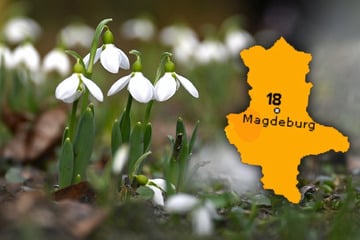 Trotz milder Frühlingstage: Sachsen-Anhalt erwartet frostige Nächte