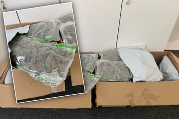 Gras-Opa will 19-Kilo-Marihuana-Paket abholen, dann folgt böse Überraschung