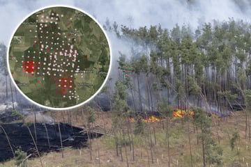 Waldbrand in der Gohrischheide: Feuer lässt Rußkonzentration in Sachsen steigen