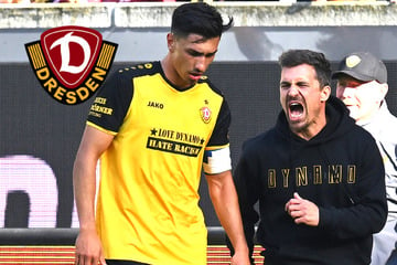 Dynamo-Trainer Stamm übernimmt die Verantwortung für den Defensiv-Albtraum gegen Essen!