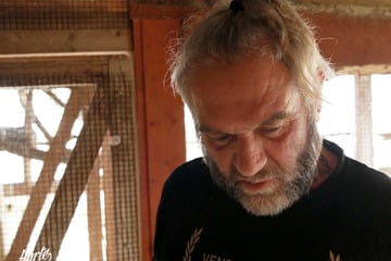 Abgegebene Katze weckt dunkle Erinnerung bei Tierschützer: "Bin im Kinderheim aufgewachsen"