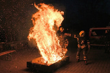 Leipzig: Hier brennt der Baum: Das war am Samstag bei der Leipziger Feuerwehr los!