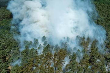Vorsicht bei Ausflügen am Maiwochenende: Waldbrandgefahr steigt