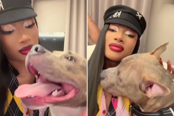 Megan Thee Stallion gushes over "new son" after rescuing adorable dog from death