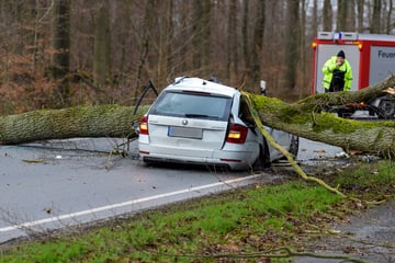 Storm dead by hurricane low 