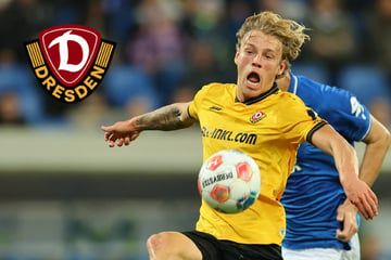 Diese Ziele hat Dynamos Leih-Rückkehrer Oehmichen