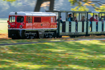 Dresden: Mitarbeiter der Parkeisenbahn soll Nacktbilder von 14-Jährigem gefordert haben