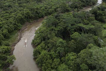 Migrants deported by US have been moved to Panama jungle facility