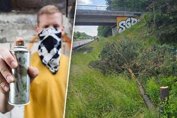 Dynamo-Fans fällen Bäume, damit ihre Graffiti besser zu sehen sind