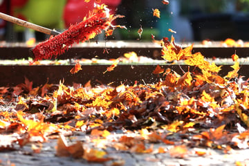 Leipzig: Der Herbst ist da, die Blätter fallen: Doch wohin eigentlich mit dem ganzen Laub in Leipzig?