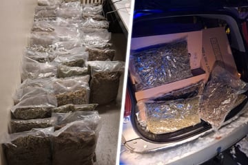 XXL-Cannabisfund und Kokstaxi: Polizei zieht gleich zwei Drogenkarren aus dem Verkehr