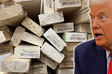 Trump looks to open up latest front in tariff war with executive order on lumber