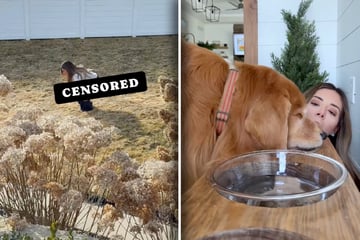 Frauchen von Golden Retriever verhält sich seltsam: Grund lässt Lachtränen fließen