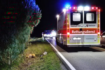 Nach Wildunfall: Fahrer steigt aus und wird von Rettungswagen erfasst