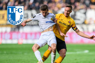 1. FC Magdeburg verpflichtet nächsten Spieler