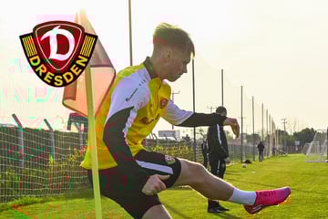 Standards! Erst vom Winde verweht, jetzt Dynamos neue Stärke