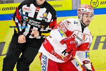Dresden schlägt bei den Eispiraten zu: Er ist der erste Neuzugang der Eislöwen