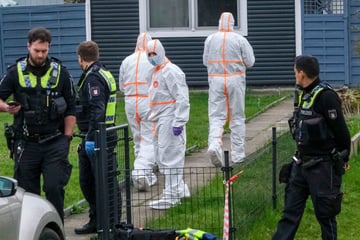 Grusel-Fund in Hamburg! Zwei Leichen in Gartenlaube entdeckt