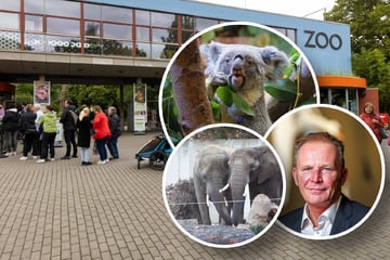 Eine halbe Million Euro Miese: Muss der Dresdner Zoo jetzt Tiere verkaufen?
