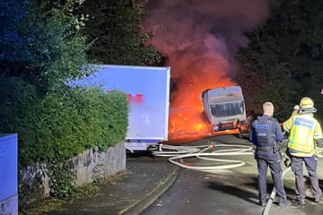 Mitten in der Nacht: Lkw geht lichterloh in Flammen auf