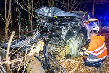 Schwerer Unfall am Festungsberg: Škoda kracht gegen Baum