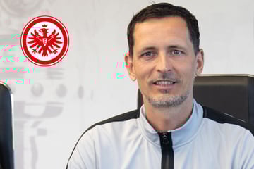 Geht die Erfolgsgeschichte weiter? Toppmöller-Entscheidung bei Eintracht gefallen