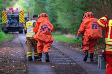 Dreiste Gefahrstoff-Entsorgung im Wald? Rund 100 Kanister entdeckt