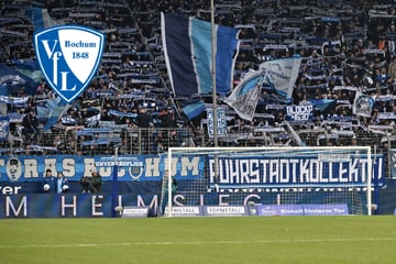 Zweitligist verbietet den Fans das Hüpfen, aber warum eigentlich?