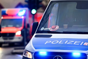 Ladendiebe schleifen Zeugen auf Motorhaube zehn Meter mit