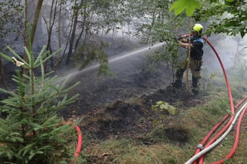 Stadtwald in Flammen! Feuer in Thüringens drittgrößter Stadt ausgebrochen
