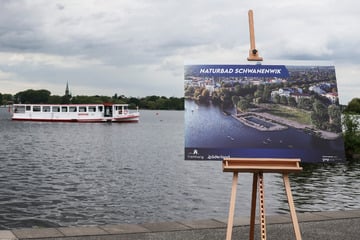 Hamburg: Schwimmen in der Alster: So soll das Naturbad aussehen
