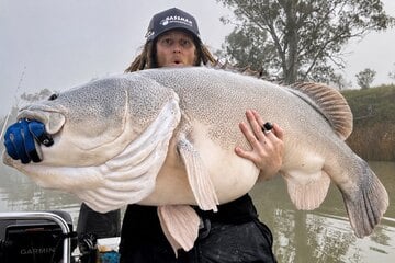Mit mehreren Bieren intus: Mann fängt rekordverdächtigen Mega-Fisch