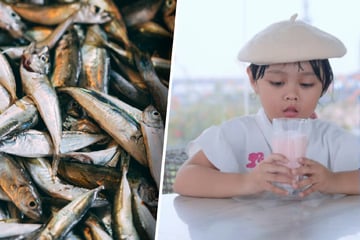 Ist das lecker? Neues Trend-Getränk "Fischmilch" soll für ausgewogene Ernährung sorgen