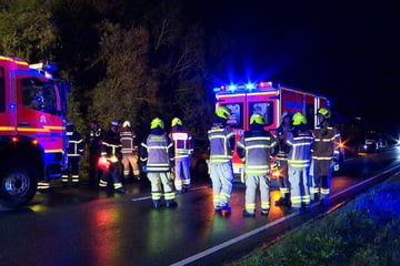 Fahrer erkrankt plötzlich am Steuer und kommt von Straße ab: Reanimation!