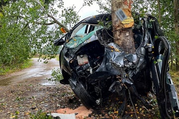 Tödlicher Crash im Norden: 79-Jähriger kracht mit Auto gegen Baum und stirbt!